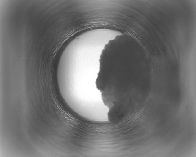 X0000051860355200507221903