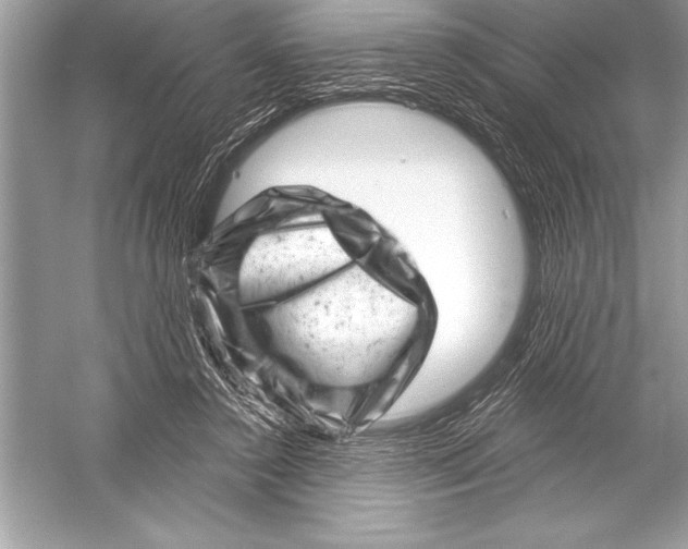 X0000051860356200507221903