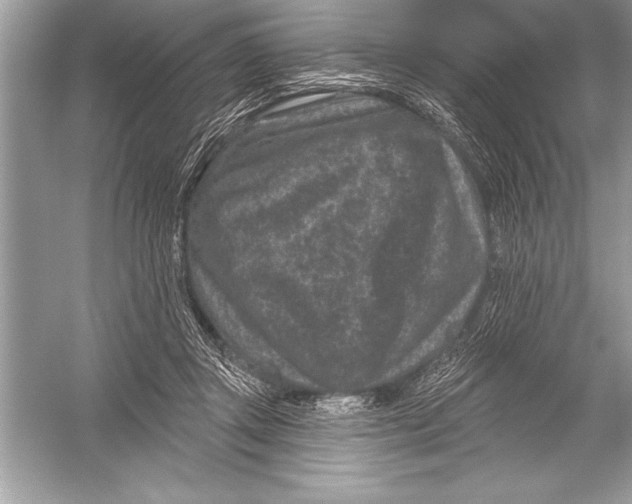 X0000051860357200507221903