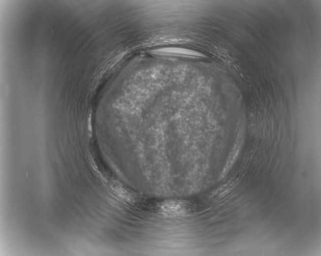 X0000051860358200507221903