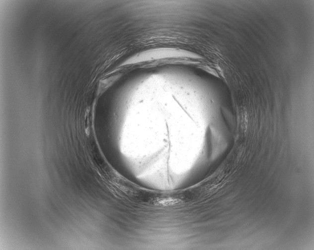 X0000051860360200507221903