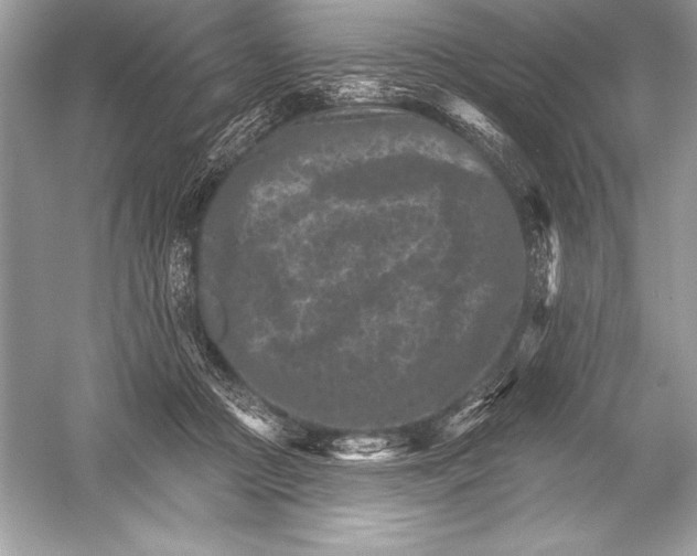 X0000051860361200507221903