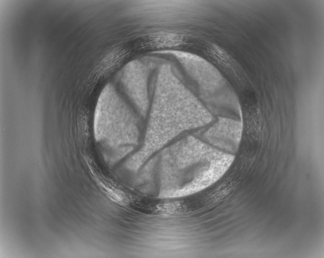 X0000051860362200507221903