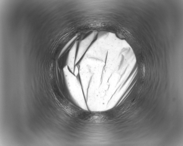 X0000051860364200507221903