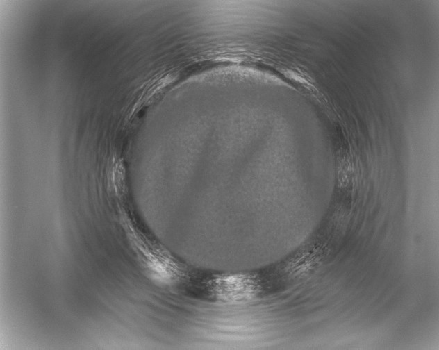 X0000051860365200507221903