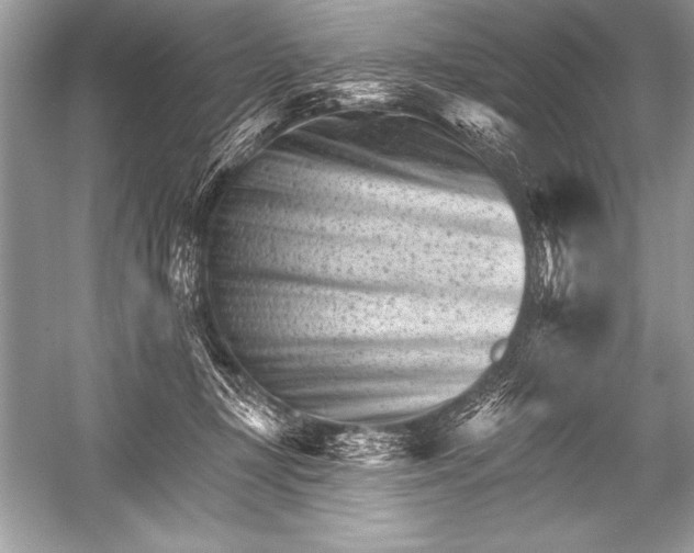 X0000051860367200507221903