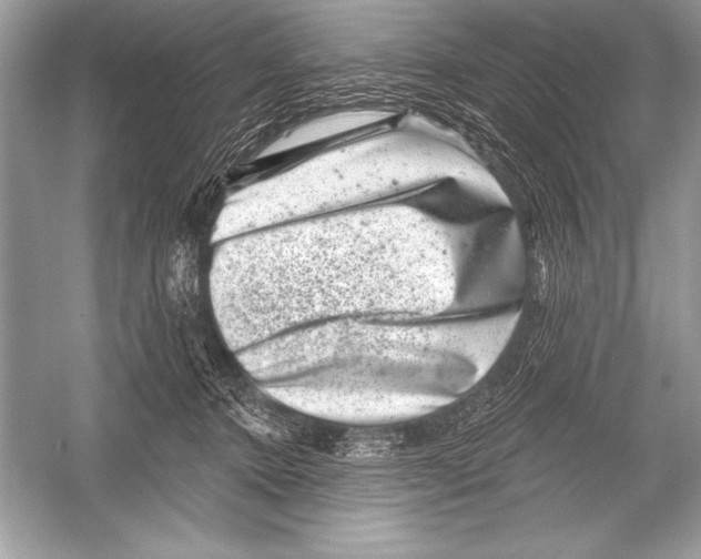 X0000051860368200507221903