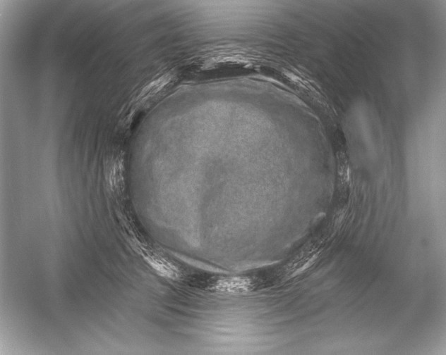 X0000051860369200507221903