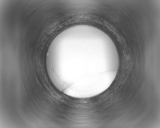 X0000051860370200507221903