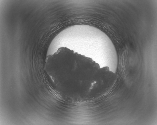 X0000051860371200507221903