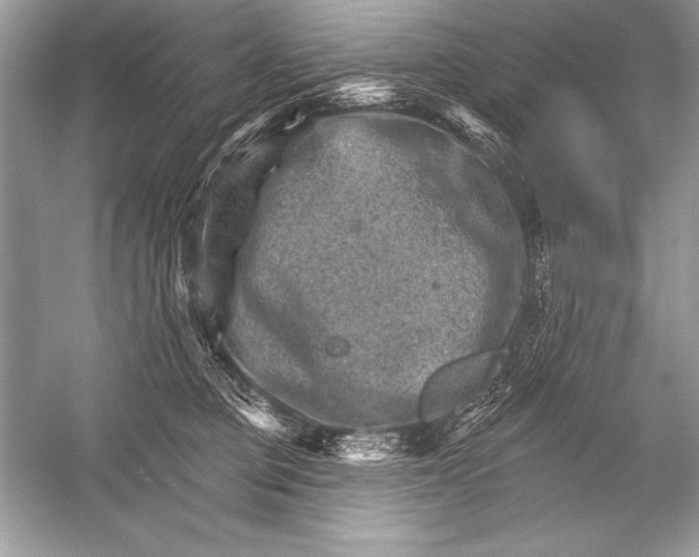 X0000051860373200507221903