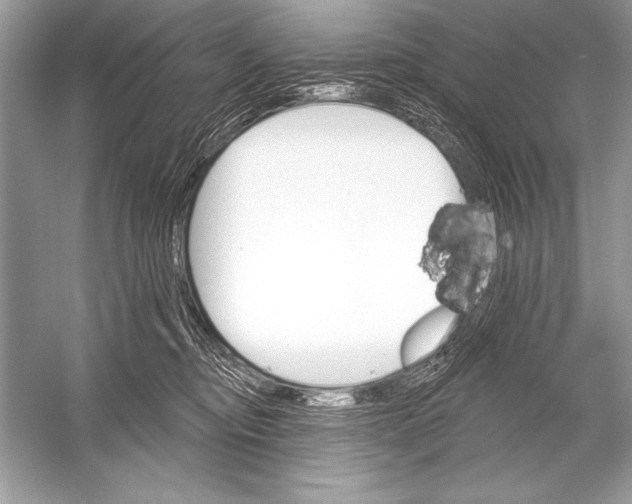 X0000051860374200507221903