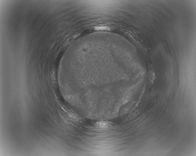 X0000051860375200507221903