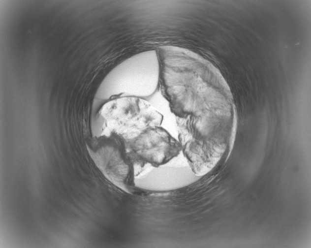 X0000051860377200507221903