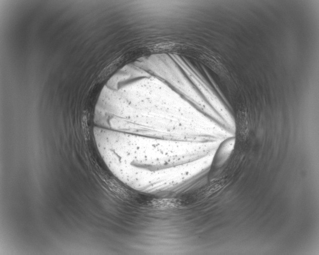 X0000051860378200507221903