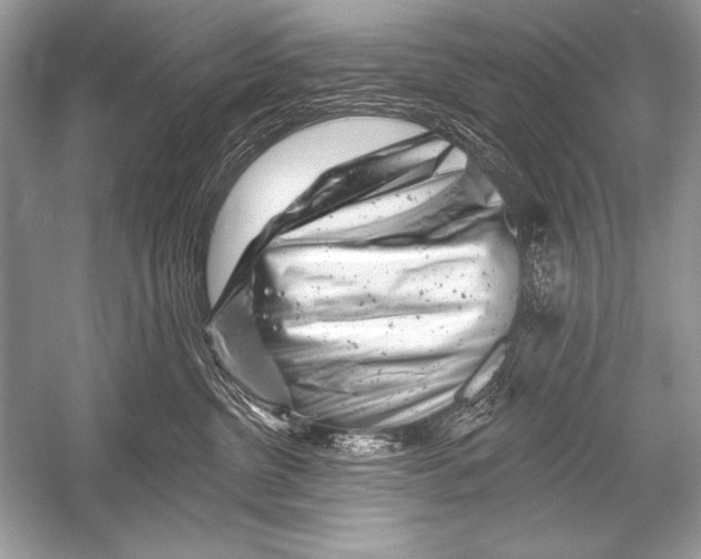 X0000051860380200507221903