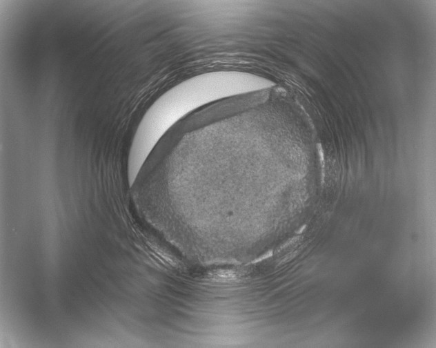 X0000051860381200507221903