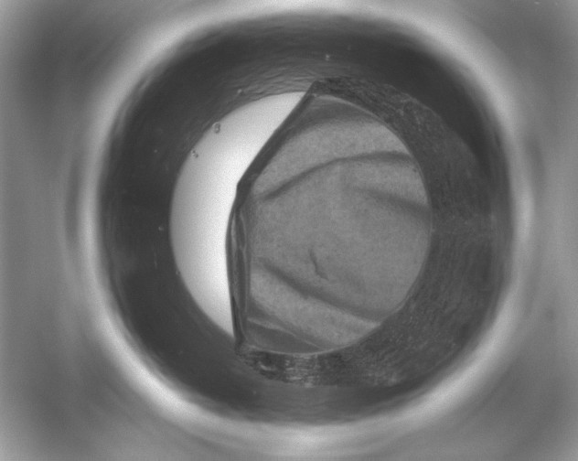 X0000051860382200507221903