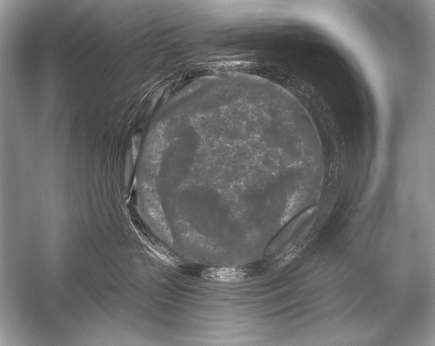 X0000051860383200507221903