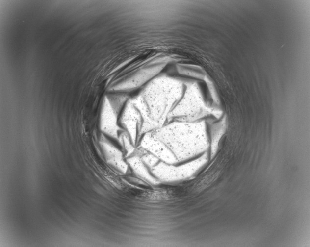 X0000051860384200507221903