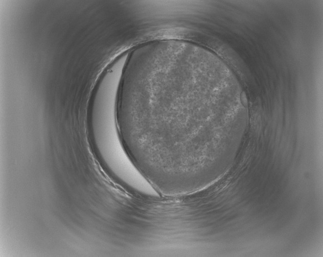 X0000051860386200507221902