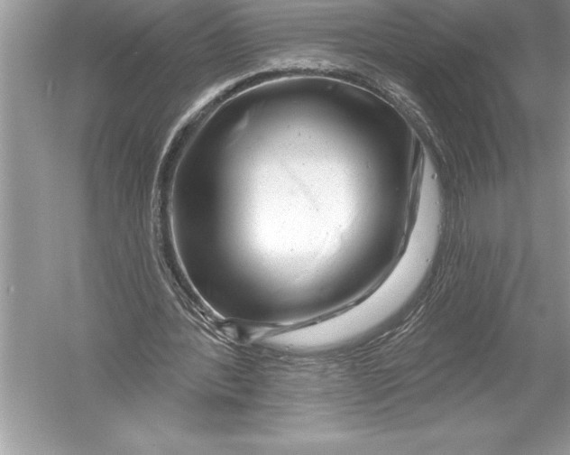 X0000051860388200507221902