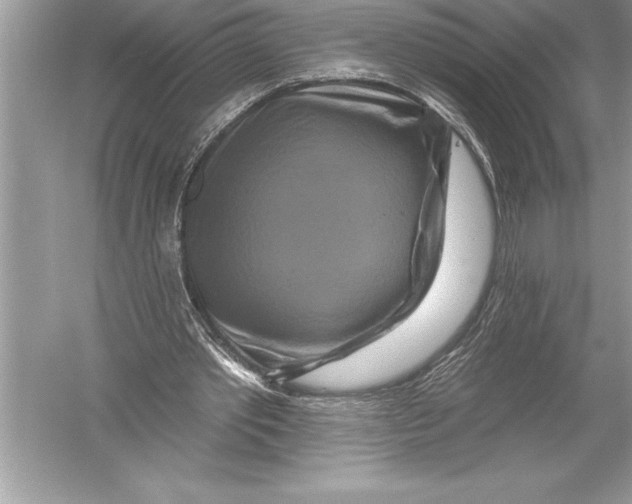 X0000051860389200507221902