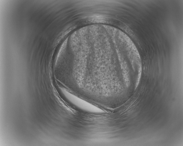 X0000051860390200507221902