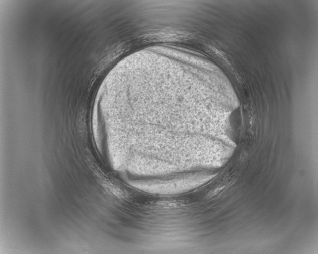 X0000051860394200507221902