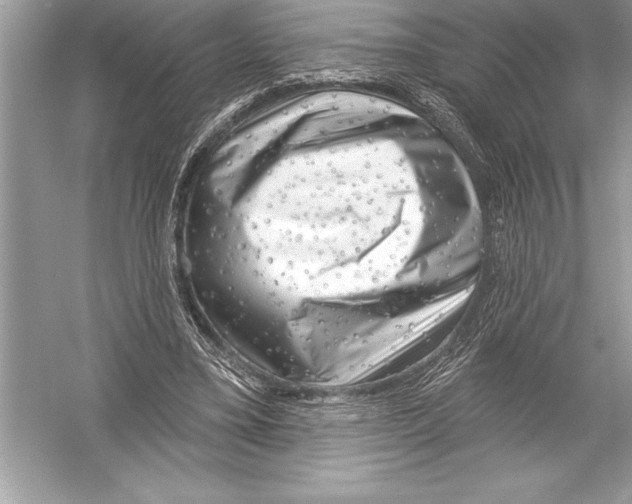 X0000051860395200507221902