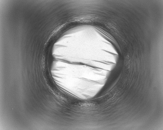 X0000051860400200507221902