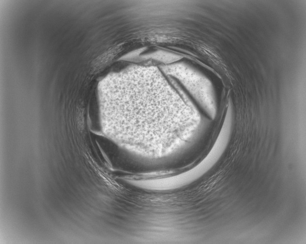 X0000051860401200507221902