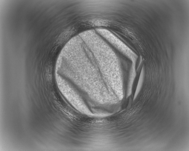 X0000051860402200507221902