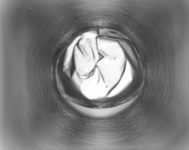 X0000051860403200507221902