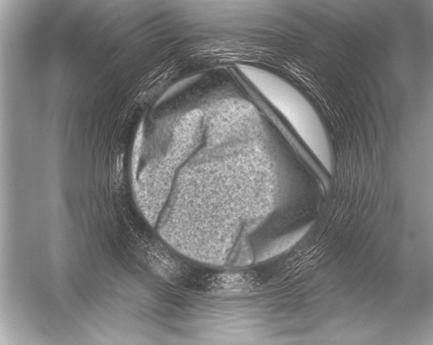 X0000051860406200507221902