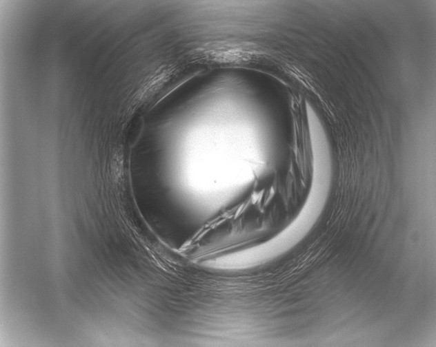 X0000051860407200507221902