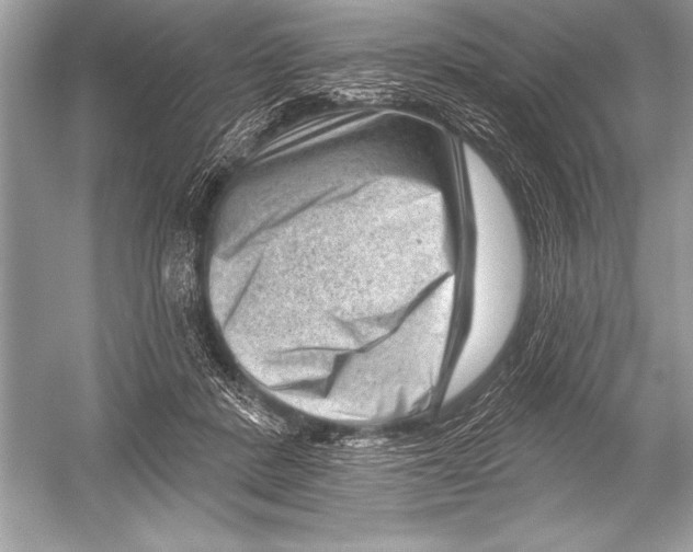 X0000051860408200507221902