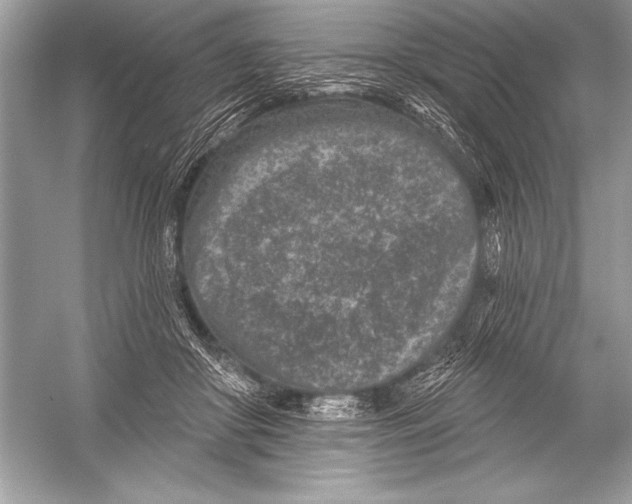 X0000051860410200507221902