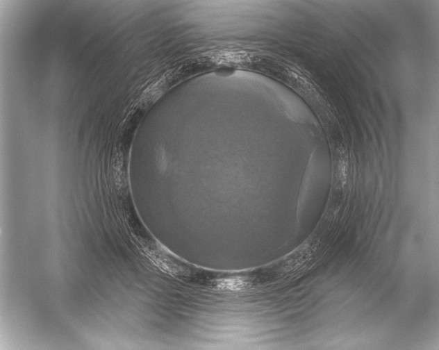 X0000051860411200507221902