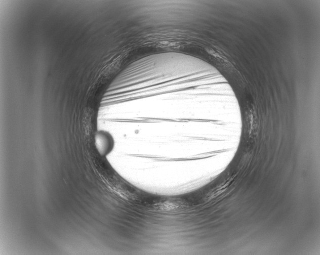 X0000051860412200507221902