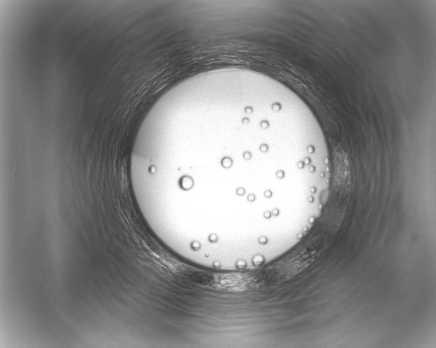 X0000051860414200507221902