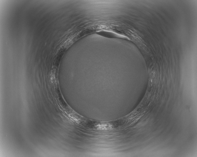 X0000051860415200507221902