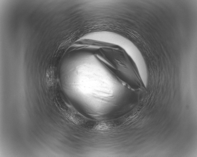 X0000051860416200507221902