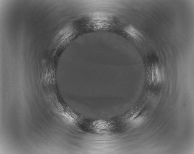 X0000051860419200507221902