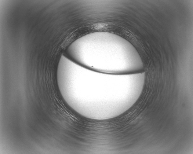 X0000051860421200507221902