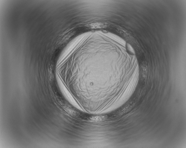 X0000051860422200507221902