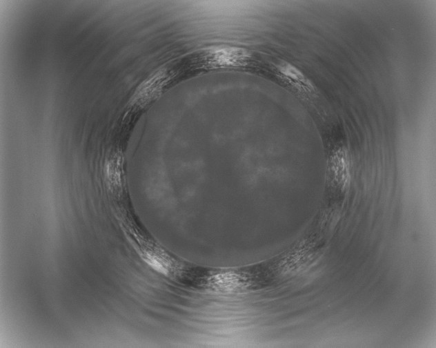 X0000051860423200507221902