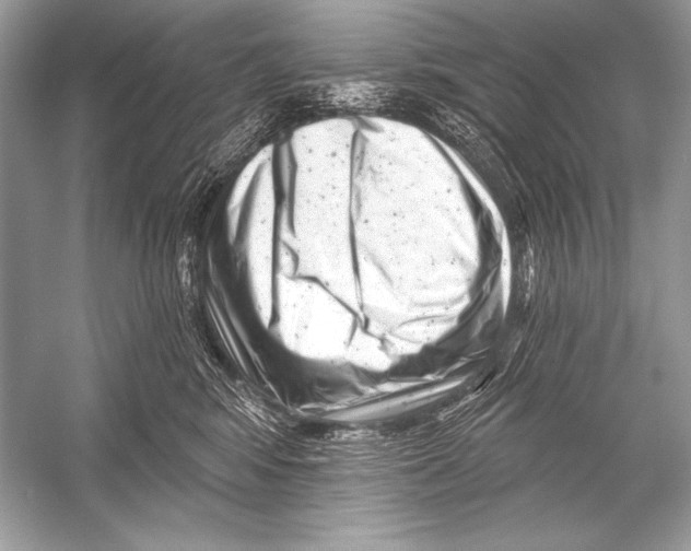 X0000051860424200507221902