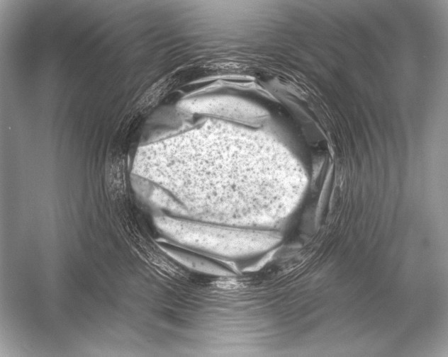 X0000051860425200507221902