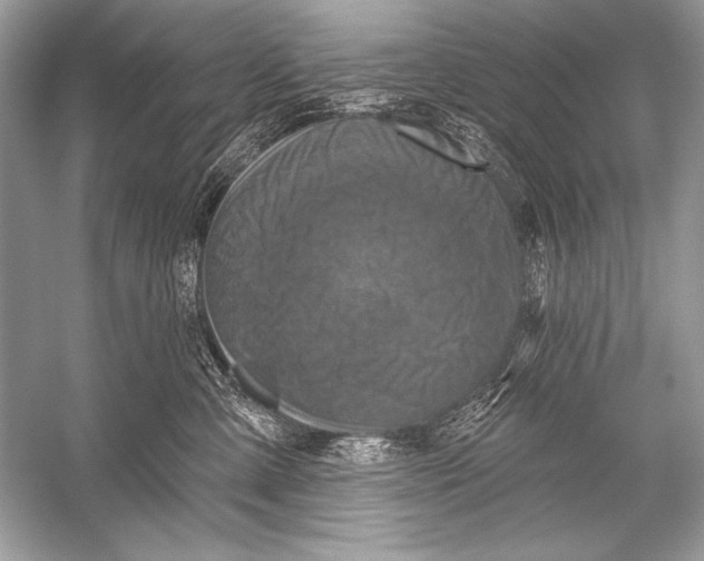 X0000051860427200507221902